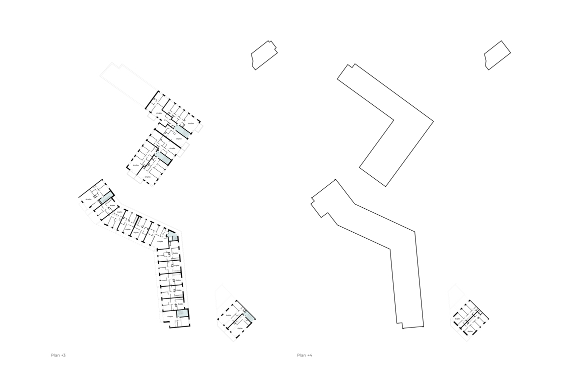 Intertwining urban ecology